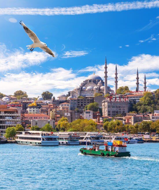 Discover Istanbul